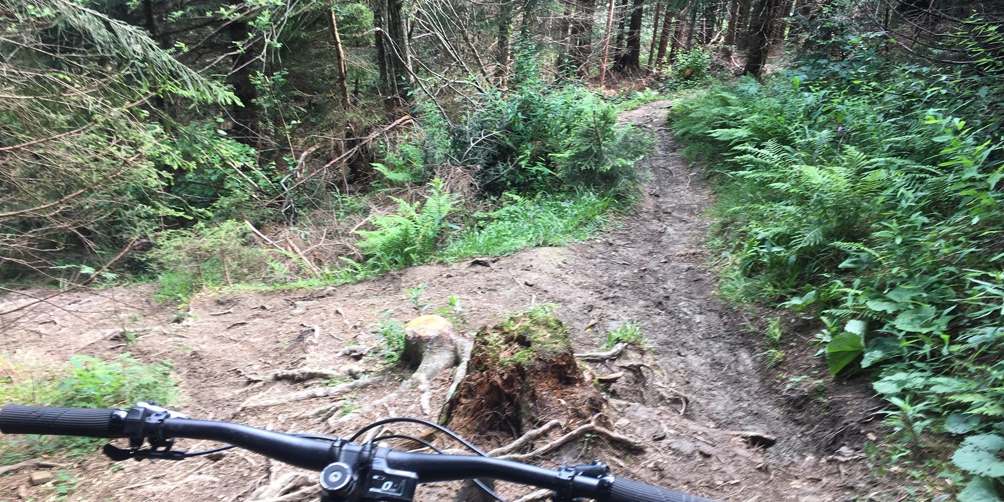 Das neue Merdia eOne Sixty im Praxistest