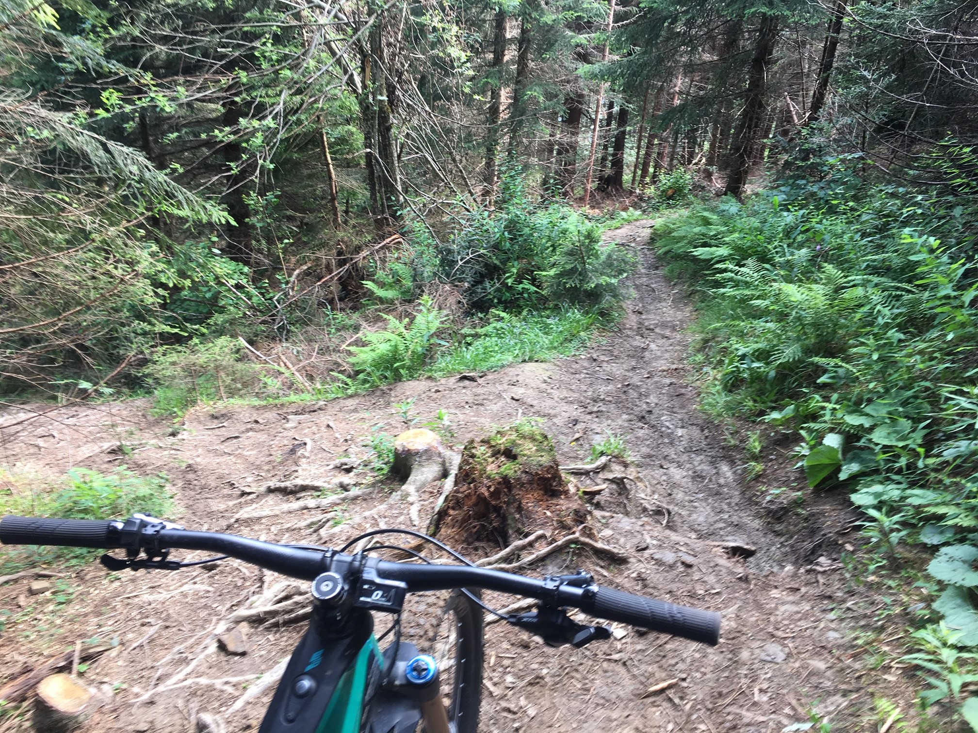 Das neue Merdia eOne Sixty im Praxistest